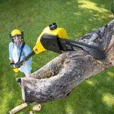 Best Commercial Tree Services  in Odenton, MD